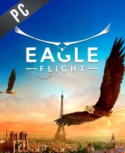 Eagle Flight