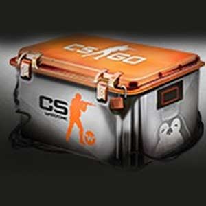 CSWarzone CSGO Skin Case