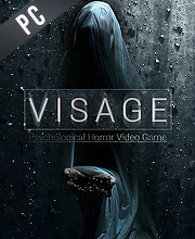Visage