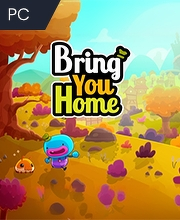 Bring You Home