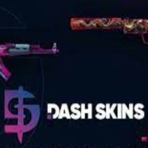 DashSkins