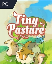 Tiny Pasture