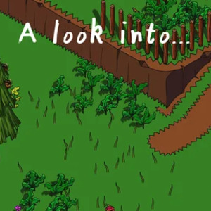 A Look Into