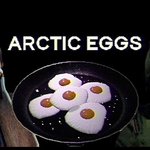 Arctic Eggs