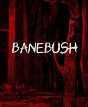 Banebush
