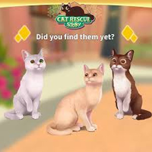 Cat Rescue Story