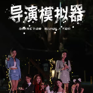 Director Simulator