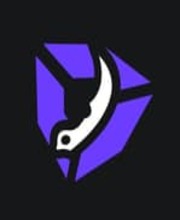 DMSkins