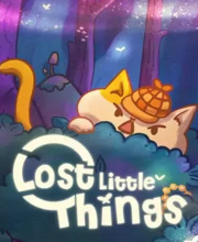 Lost Little Things