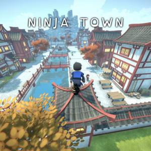 Ninja Town