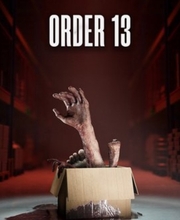 ORDER 13