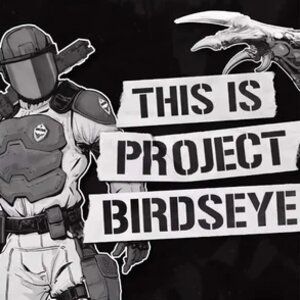 Project Birdseye