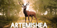 Artemishea
