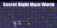 Secret Night Maze World