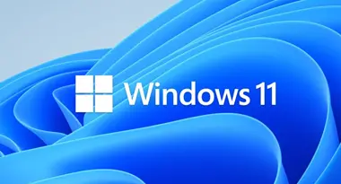 Windows 11 Pro