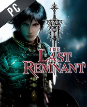 The Last Remnant