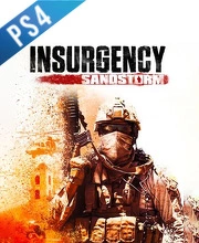 Insurgency Sandstorm PS4