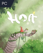 Hoa