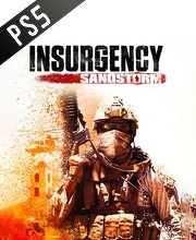 Insurgency Sandstorm PS5