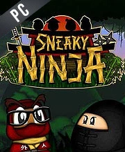 Sneaky Ninja