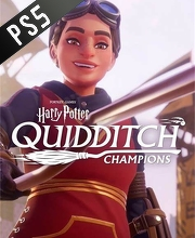 Harry Potter Quidditch Champions PS5