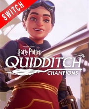 Harry Potter Quidditch Champions Nintendo Switch