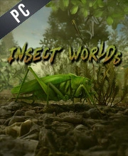 Insect Worlds