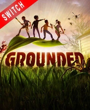 Grounded Nintendo Switch