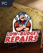 Low Budget Repairs