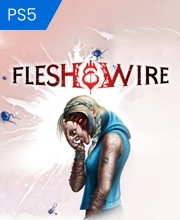 Flesh & Wire PS5