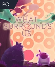 What Surrounds Us