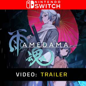 AMEDAMA Nintendo Switch