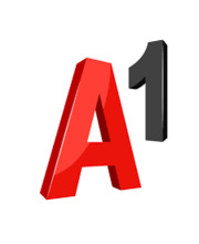 A1