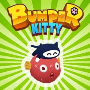 Bumper Kitty Nintendo Switch