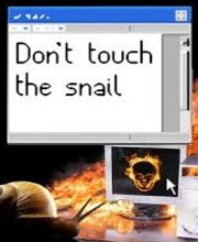 Don’t Touch the Snail