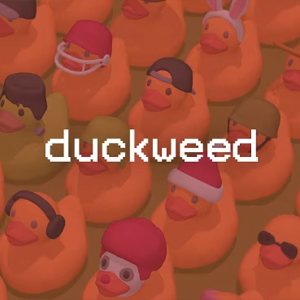 Duckweed