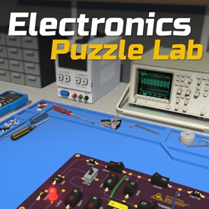 Electronics Puzzle Lab Nintendo Switch