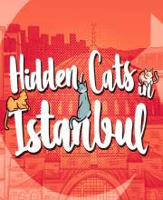 Hidden Cats in Istanbul PS5