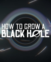 How To Grow a Black Hole