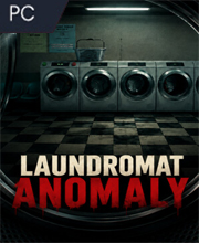 Laundromat Anomaly