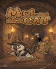 Mel The Pyramid Cat