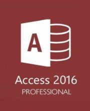 Microsoft Access 2016 Professional