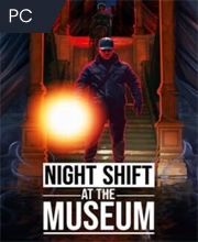 Night Shift at the Museum