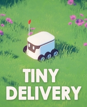 Tiny Delivery