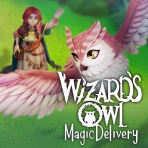 Wizards Owl Magic Delivery
