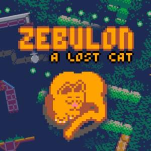 Zebulon A Lost Cat Nintendo Switch