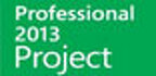 Microsoft Project Professional 2013