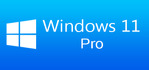 Windows 11 Pro
