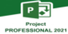 Microsoft Project Professional 2021