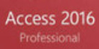 Microsoft Access 2016 Professional